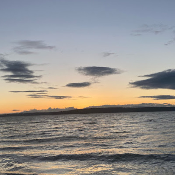 Meet your Posher, Alexia - Picture 1 of 1